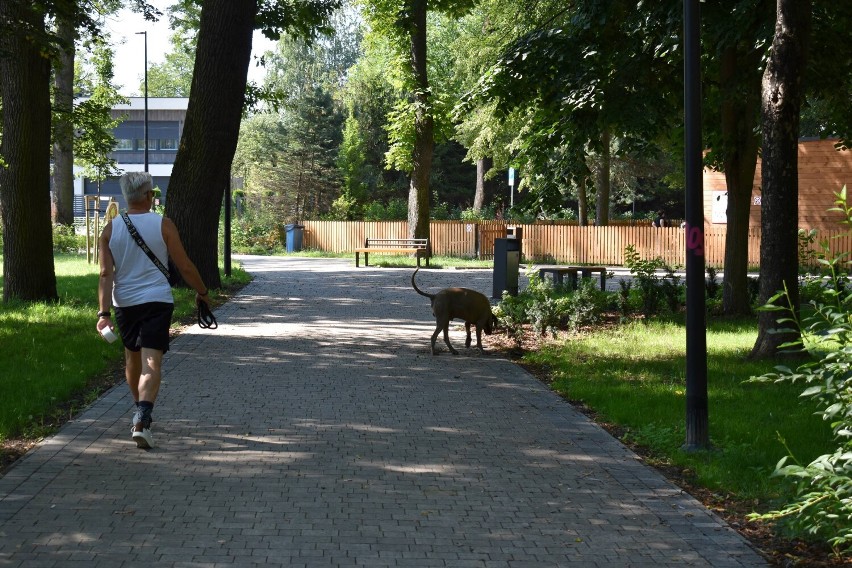 Słoneczny czwartek w Nowym Sączu. Mieszkańcy spędzają czas nad wodą i w kolejce po lody