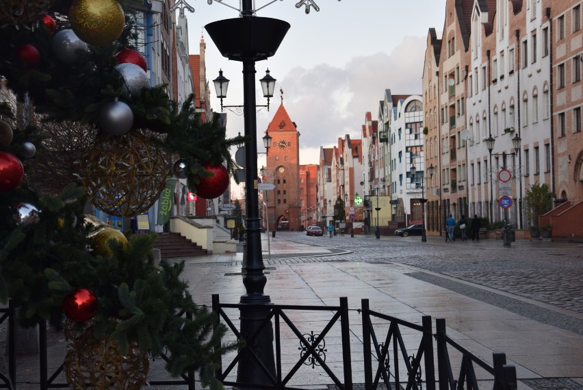 Świąteczne dekoracje w Elblągu. Choinki i świetlne iluminacje na ulicach miasta