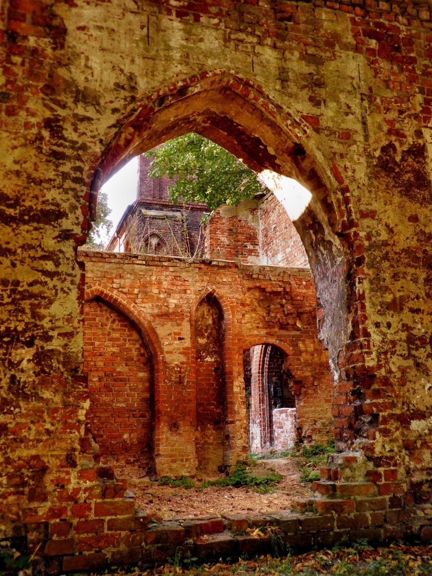 Ruiny Klasztoru Augustianów w Jasienicy