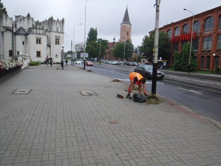 Wakacyjne porządki. Sprzątają skazani ZDJĘCIA