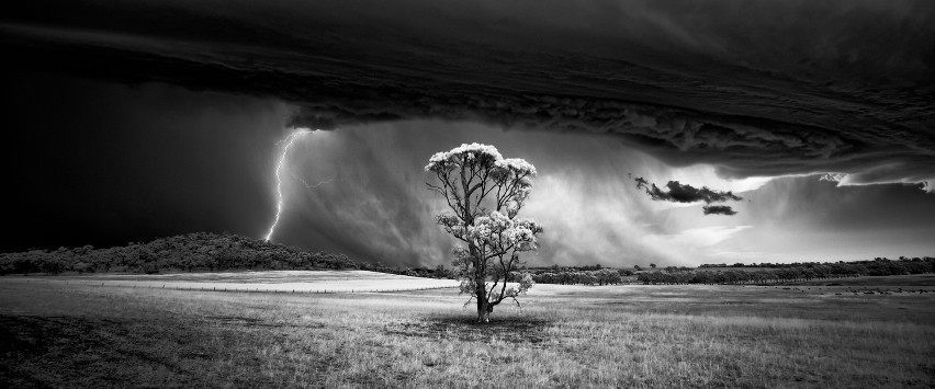 The International Landscape Photographer of the Year