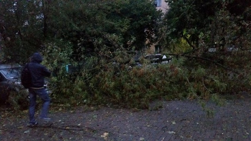 Orkan Ksawery zrywał dachy i powalał drzewa