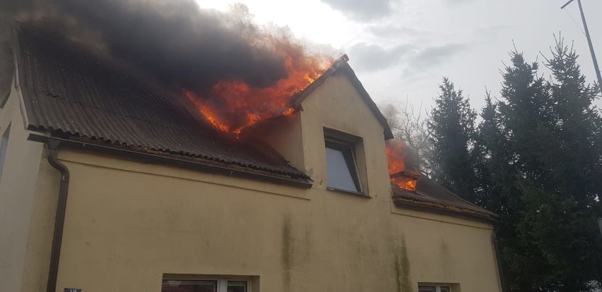 Pruszcz Gdański. Pożar dachu domku jednorodzinnego przy ulicy Kopernika [18.04.2020 r.] |ZDJĘCIA