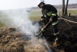 Wrocław: Trzysta pożarów suchych traw w ciągu tygodnia