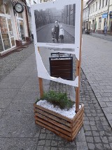 Chełmno - policji nie powiadomiono o dewastacji wystawy na ul. Grudziądzkiej. Dlaczego? 