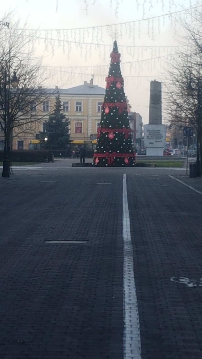 Włocławek jak z bajki już w czwartek: świecące dekoracje w centrum miasta, powitanie świętego Mikołaja, piękna choinka 