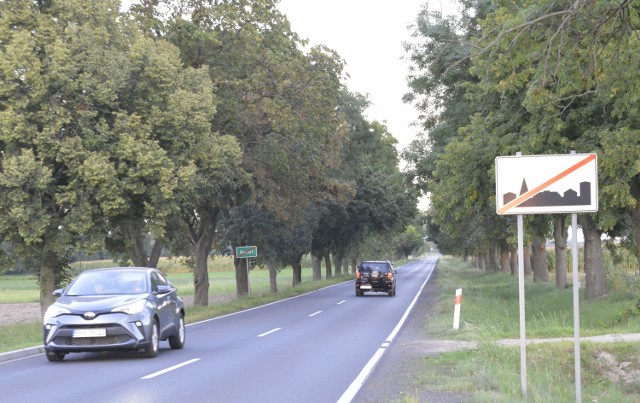 POWIAT KOŚCIAŃSKI. Ścieżki rowerowe powstaną w gminie Kościan i gminie Krzywiń