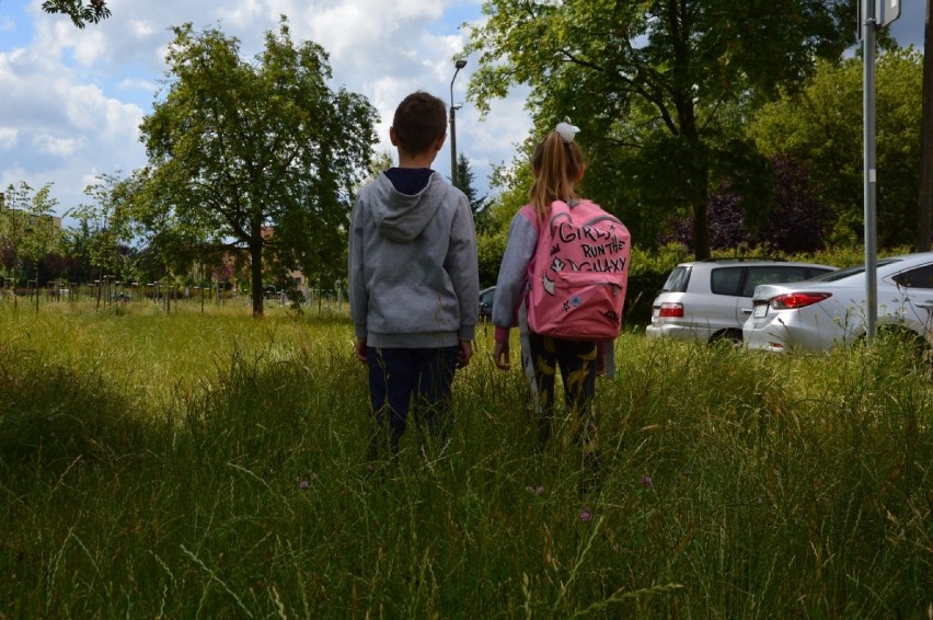 W Bełchatowie trawa po kolana. Czy tereny zielone zostaną uporządkowane? [ZDJĘCIA]