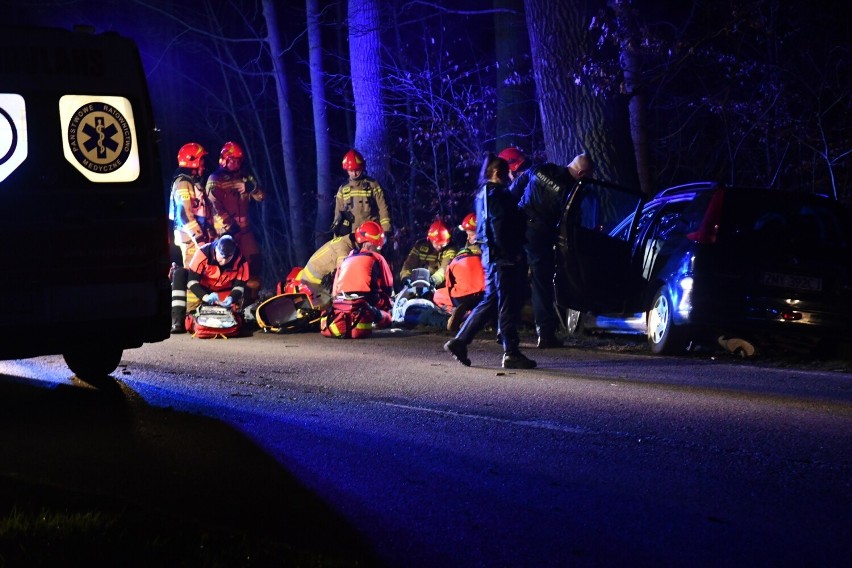 Peugeot zjechał z drogi i uderzył w drzewo. Kierowca był...