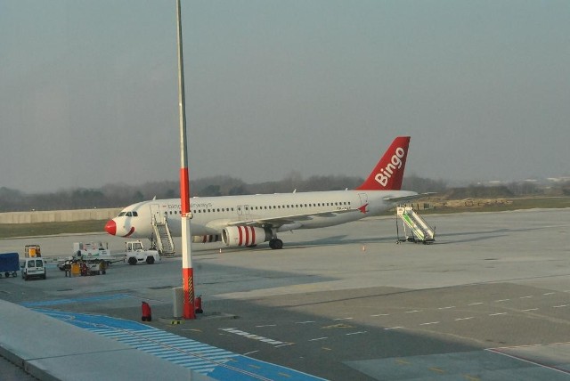 Do Egiptu pasażerów ma zawieźć samolot linii Bingo Airways