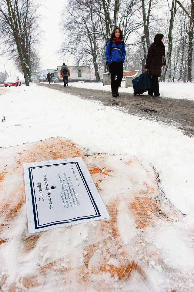 Mieszkańcy na pniach ściętych drzew umieścili nekrologi