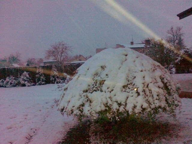 Śnieg w Ostrowie Wielkopolskim spadł 27 października...