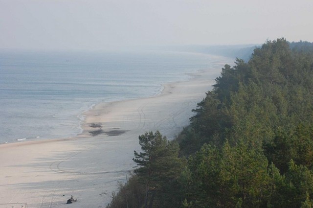 Plaża Mierzei Wiślanej