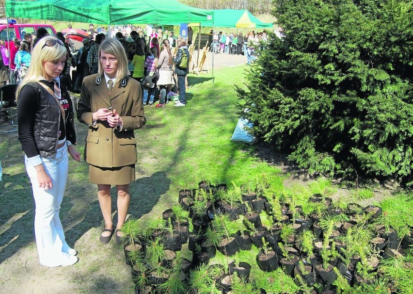 W Kościerzynie drzewka rozdawaliśmy w środę