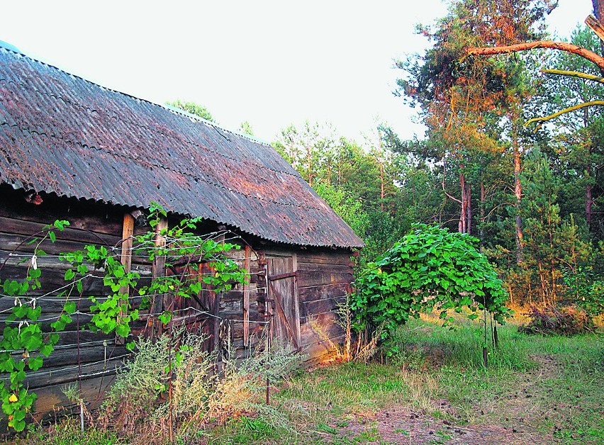 Część starego domostwa, gdzie urodziła się Natalka Babina