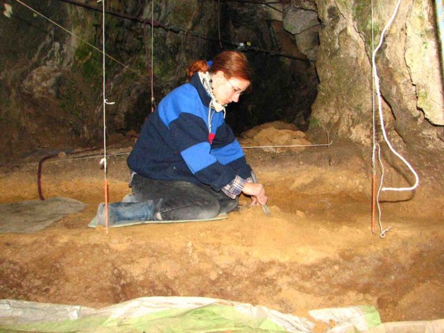 Archeolodzy wracają do jaskini w Mirowie