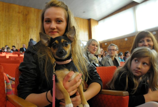 Koncert i aukcja dla lubelskiego Animalsa i przytuliska w Rachowie