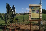 Park wielkich owadów czeka w Stobiernej [ZDJĘCIA]