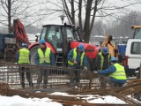 Budowa Elki: Ekolodzy i puste gniazdo zatrzyma budowę? [ZDJĘCIA]