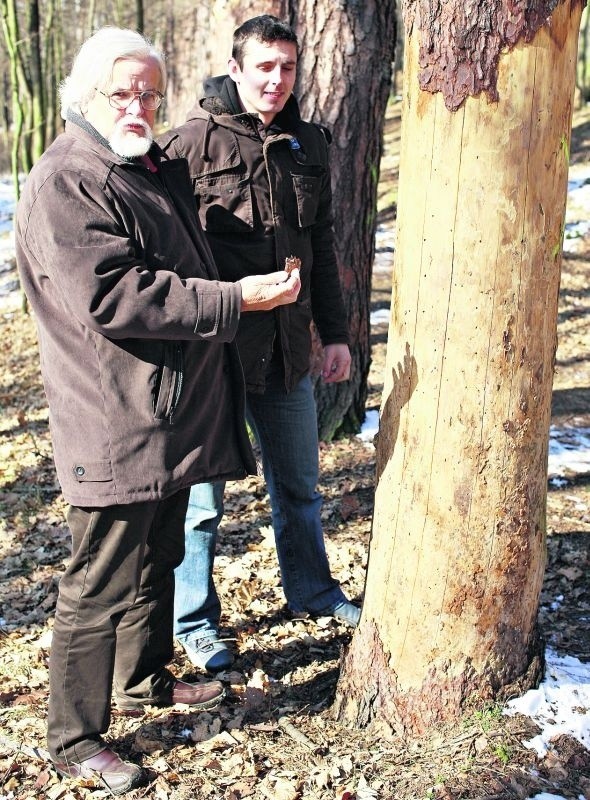 Michał Kasztelan i Piotr Hamowski pokazują chore drzewa