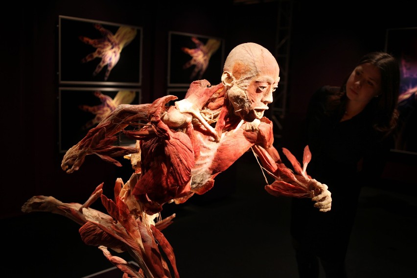 Wystawa ludzkich ciał w Krakowie już otwarta [ZDJĘCIA]