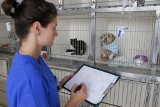 Poznań: Nowy szpital dla psów i kotów [ZDJĘCIA]