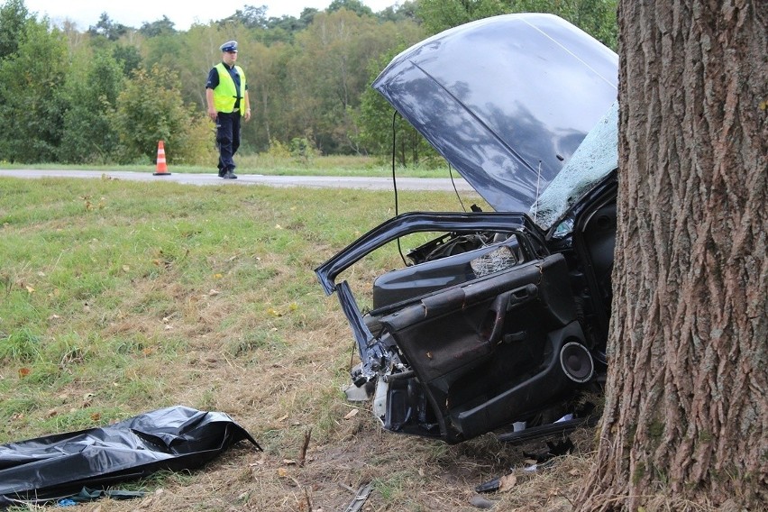Wypadek w Natalinie: Golf wpadł na drzewo, kierowca zmarł (ZDJĘCIA)