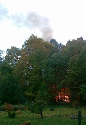 Bielsko-Biała: Pożary w Cygańskim Lesie. Mieszkańcy się boją