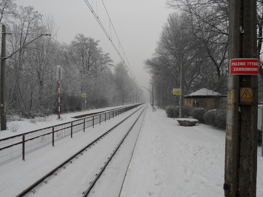 Koleje Śląskie: Dzisiaj dzień próby [RELACJE Z TORÓW]