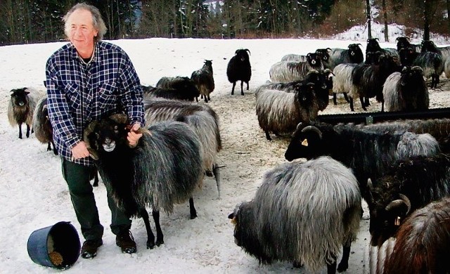- Ekologiczną żywnością karmimy 110 owiec. Projekt ustawy o GMO zagraża naszej hodowli - mówi Roland Ruschil