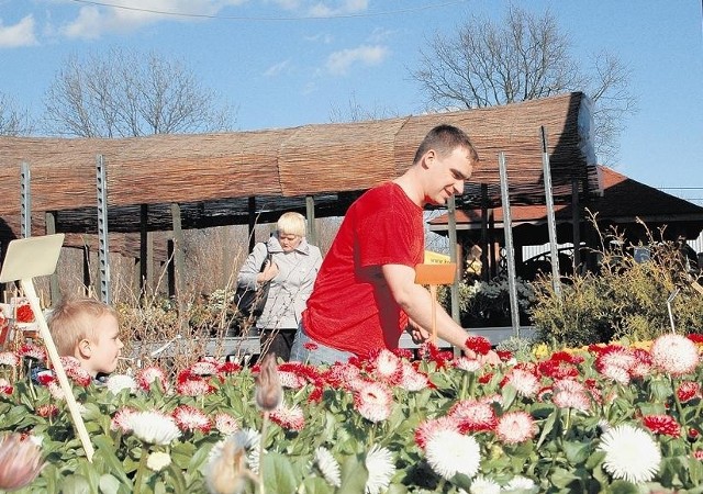 Piotr Kuźniak podkreśla, że kwiaty to teraz popularny towar