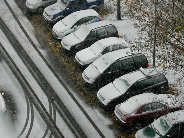 W Poznaniu prószy śnieg