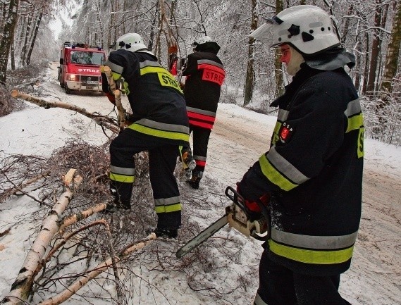 Strażacy usuwali wtedy połamane drzewa