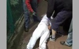 Częstochowa: Zatrzymani sprawcy brutalnego pobicia zawodnika MMA [VIDEO]