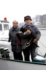 Kraków: marynarz uratował z Wisły tonącego psa