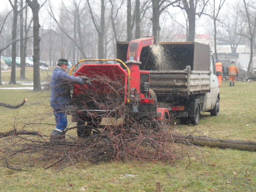 Dąbrowa Górnicza: Wycięli ponad 20 drzew pod Aldi, ale mieszkańcy uratowali inne parki 