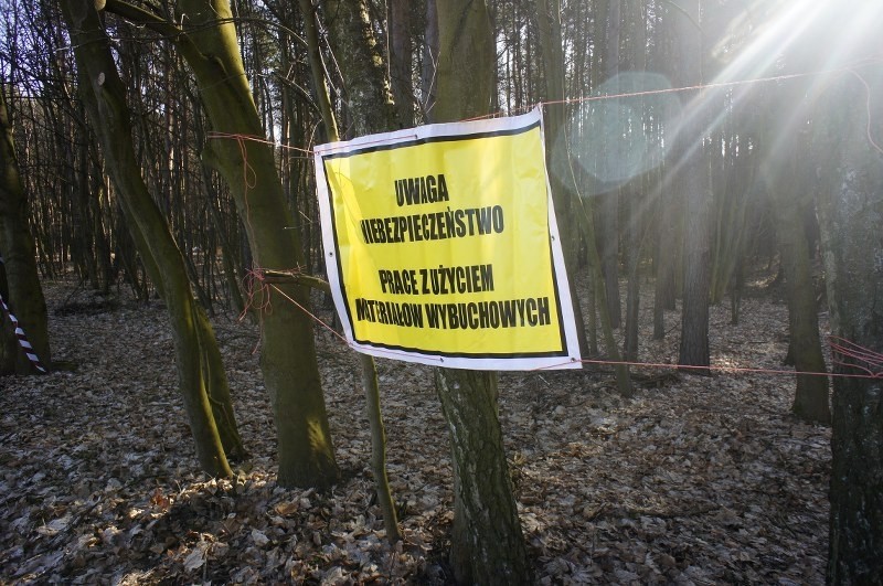 Rozminowywanie lasu w Kozichgłowach.
