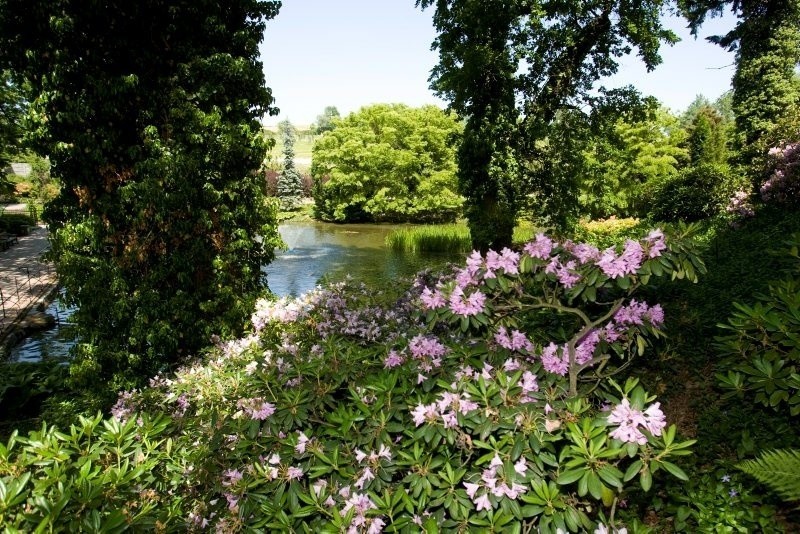 Arboretum w Wojsławicach