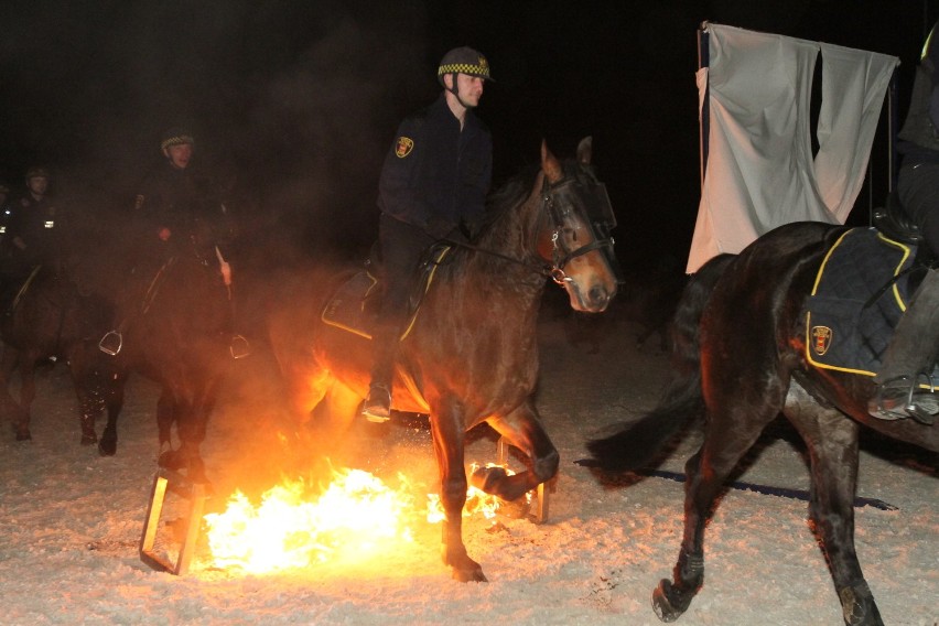 Nocny trening konnych strażników miejskich [ZDJĘCIA+FILM]