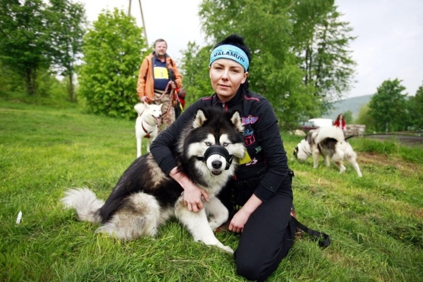 Jelenia Góra: W Przesiece odbyła się trzecia edycja Pucharu Polski w Dogtrekkingu