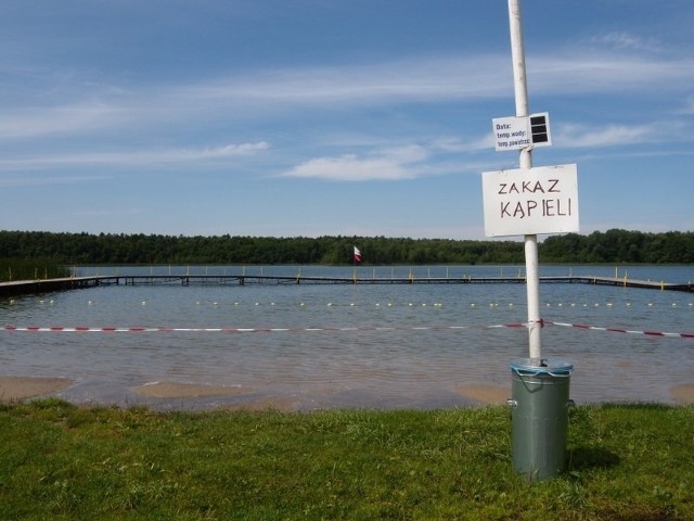Zanieczyszczona woda w jeziorze Strzeszyńskim powoduje, że nie wolno się kąpać.