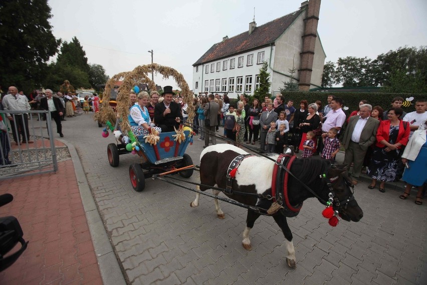 Dożynki w Zabrzu w obiektywie Arkadiusza Goli [ZDJĘCIA]