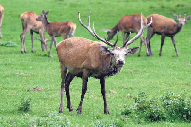 Wrzesień w zoo - o tej porze roku jest tu wiele nowości