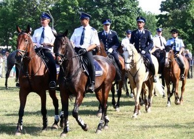 Blue Baker dołączył do policyjnej drużyny konnej w Częstochowie [ZDJĘCIA]