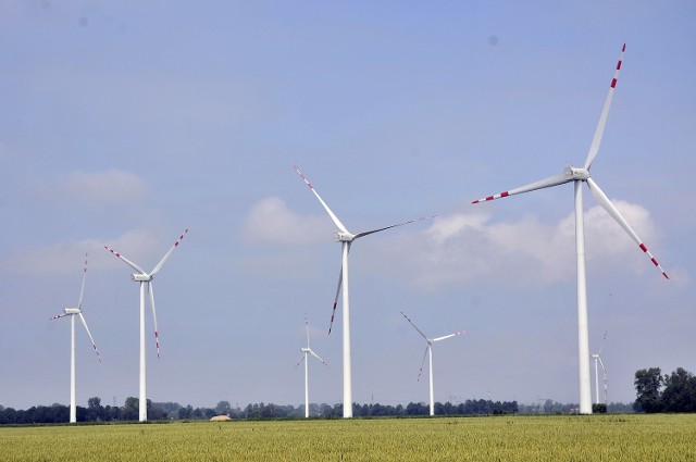 Pierwszą nagrodę w kategorii firmy mikro uzyskała 3Wings sp. z o.o., należąca do grupy Eurowind, dewelopera elektrowni wiatrowych i biogazowni. Spółka zajmuje się obrotem energią elektryczną.