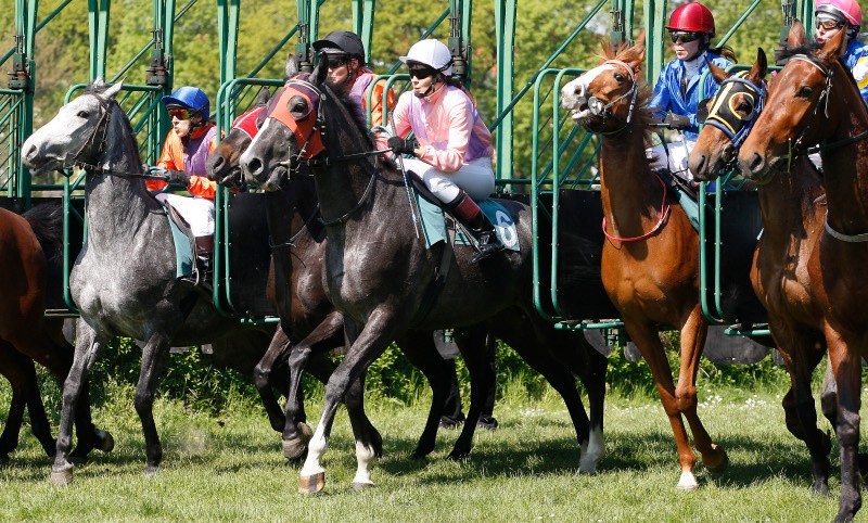 Sezon wyścigów konnych rozpoczęty