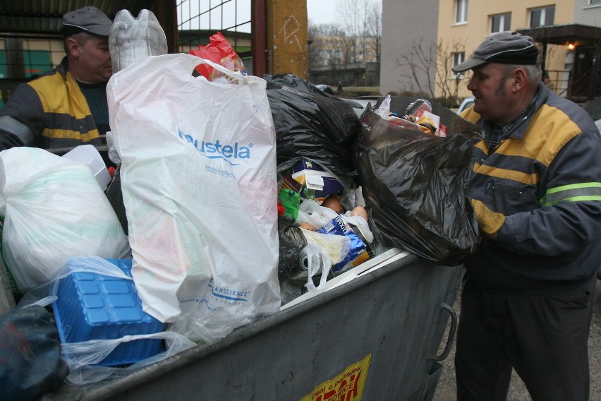 Marnujemy tony jedzenia! Chodźcie na śmietnik i zobaczcie! [ZDJĘCIA i WIDEO]