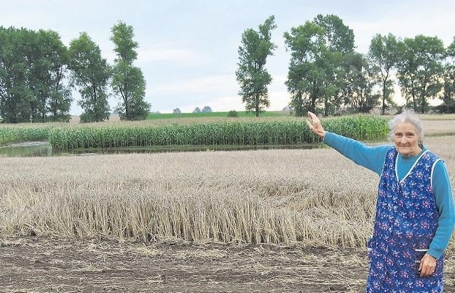 Helena Czajka z Kotowa w gminie Granowo pokazuje bajoro, które powstało na jej polu