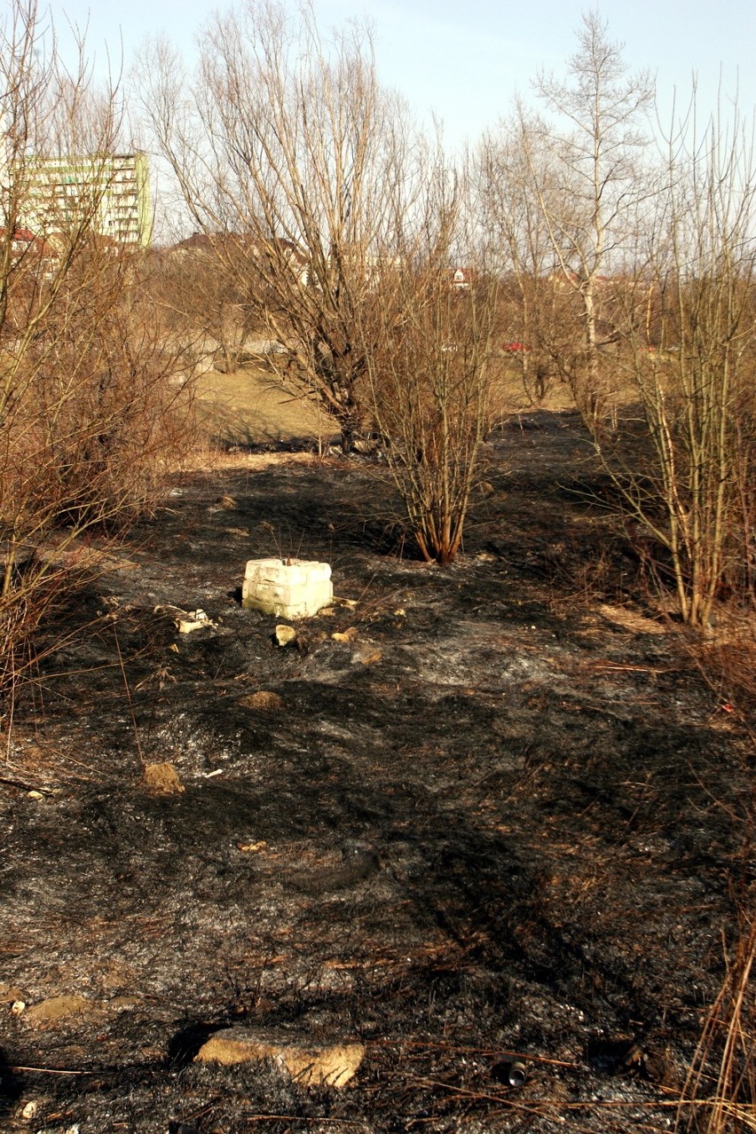Pożar przy ul. Jana Pawła II, płonie trawa (ZDJĘCIA)