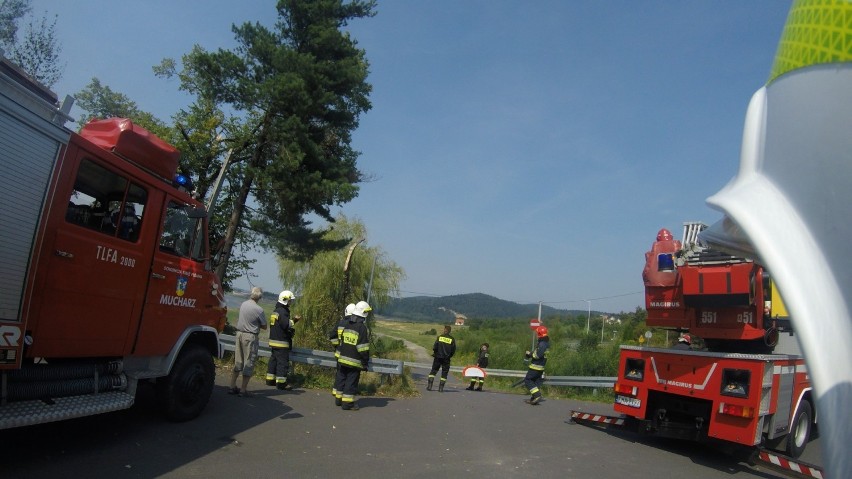 Interwencja strażaków przy drodze nad Jeziorem Mucharskim